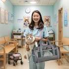 Airline Approved Pet Carrier Soft Sided Dog Cat Travel Bag Expandable