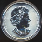 2017 Canada  50 Grizzly Bear Coin 10oz  9999 Fine Silver In Original Capsule-bu