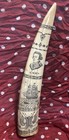 Scrimshaw Tusk 15 Inch The Ship Regulus  Captain James Hoad
