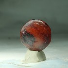 Tibetan Old Dzi Agate Bead  eyed  Amulet Pendant From Tibet 45534