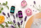 Young Living Essential Oils     5ml   15ml     New   Sealed     Free Shipping
