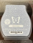 Lot Of 7 Scentsy Assorted Authentic 3 2 Oz Wax Bars Tart Warmer Melts Idaho Usa
