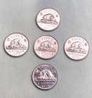 5x Canada 5   Five Cents Coins 5 Cent Uncirculated Canadian Coin Nickels  05  5x