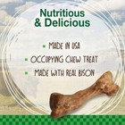 Healthy Edibles Wild Natural Long-lasting Bison Flavor Bone Chew Treats For Dogs