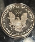 Perfect Iconic    2005 W Silver American Eagle 1 Oz 999 Fine Silver
