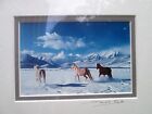 David C Schultz Utah Photographer Signed Framed Photos Wild Horses And Barn 12 
