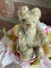 Rare Steiff Early Antique Mohair Mini Bear 3 5    Prewar Once White Brown Nose  