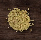 Green Lentil Seeds Bean Sprouting Seeds 600  Legumes Beans Garden Seeds Usa