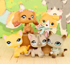 Mini Pet Shop Figure 5x Shorthair Cat Collie Dog   Accessories Girl Gift Lps Toy