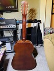 Favilla C-5 Overture 1962 - Semi Gloss Satin