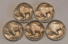 Lot Of  5  Buffalo Indian Head Nickel Coins Partial Dates Fast Free Shipping