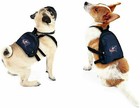 Columbus Blue Jackets Dog Cat Pet Mini Backpack Harness W leash