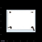 Old Vintage Photo Men Women Large Group Gathering