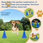 Mdtmr Dog Agility Hurdle Cone Set Dog Agility Course Backyard Set