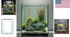 2 Gallon Glass Fish Tank  Easy To Maintain Small Aquarium For Betta snails sh   