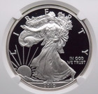 2010  w  Proof American Silver Eagle  1 Ngc Pf69  056 Ultra Cameo Ecc c  Inc 