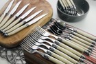 Andre Verdier Laguiole Debutant 20pc Flatware 5 Piece Setting Ivory France