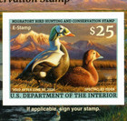 Rw92b 2025 -  E  Stamp  Federal Duck Stamp  Similar To Rw92a Scarce Mint Nh