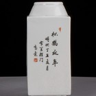 Nice Chinese Antique Art Hand Famille Rose Porcelain Bird Vase