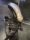 Sideshow Collectibles Alien Internecivus Raptus Statue Limited Edition  363 2000