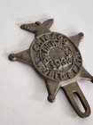 1933 Chicago World Fair Century Of Progress Metal License Plate Topper