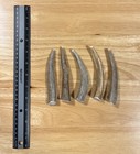 Small Elk deer Antler Natural Dog Chew   3pack   antler Treats 