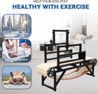 Bowwowtread Dog Treadmill Perfect For Medium Large Dogs New  