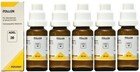 Pack Of 5 Adel 36 Pollon Drop  20ml  Homeopathic Drop   Free Shipping