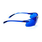 New Mushroom Finding   Antler Shed Hunting Blue Hunting Finder Glasses