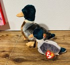 Ty Beanie Baby And Ty Buddy Jake The Mallard Duck Set Of 2 