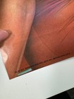 Original Vintage 1976 Farrah Fawcett Pinup Poster Folded Nice Pro Arts