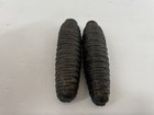 Antique Cuckoo Clock Weights Pair Cast Iron Pinecone Style Pre-1930 Musical