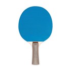 Champion Sports Table Tennis Paddle  Rubber Face Ping Pong Racket