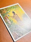 1910 Indian Life In The 1860 s Hassan Cigarette Tobacco Card