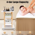 Salon Trolley 4 Tier Beauty Equipment Cart Rolling Utility Station With Wheels