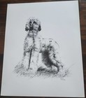 2 Afghan Hound Drawings  dated 1986 