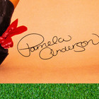 Vintage 1990s Pamela Anderson Playboy Poster Cowgirl  2749 Starmakers