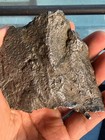364 9grams Aletai Iron Meteorite Specimen With Coa