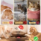 Accordion Magic Organ Cat Scratching Board Toy Kitty Kurlz Ball Scratch Pad