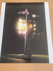 The Doors - Jim Morrison 1968 Concert Color Photo Original Photography