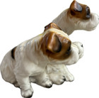 Vtg Ceramic Jack Russell Terriers Figures Akc Sporting Pet Show Breed England
