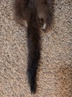 Nice Wild Brown Mink Fresh Tanned Hide Super Soft Plush Leather Craft Pelt Fur 