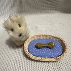 American Girl Coconut Dog Plush Pet Set Outfit Jacket Cargo Pants Sandals Retire