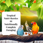 Sunny Orchard Nutri-berries Pet Bird Food  Made With Non-gmo And Human-grade Ing