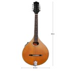 Mandola Solid Red Pine Top   Sapele Back   Sides With Eq