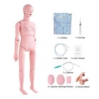 Female male Manikin Model Anatomical Nursing Training Patient Care Teach