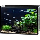 Ultra Clear 2 5 Gallon Fish Tank Nano Aquarium Leak Proof Glass Betta Shrimp New
