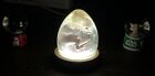 3d Printed And Resin Velociraptor Egg Statue Dinosaur Sculpture With Led Light