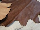 5-6oz Veg Tan Medium Brown Full Grain Double Shoulder Leather Hide Sheet panel