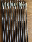 12 Sirius Apollo 250 Spine Carbon Arrows